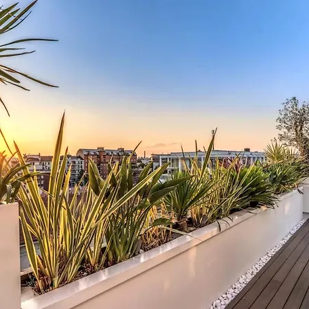 Apartament Elvezia Chic